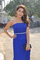 Parul Gulati Gallery